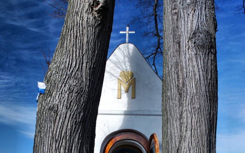 Wieża widokowa na wzgórzu z panoramą miasta i okolic